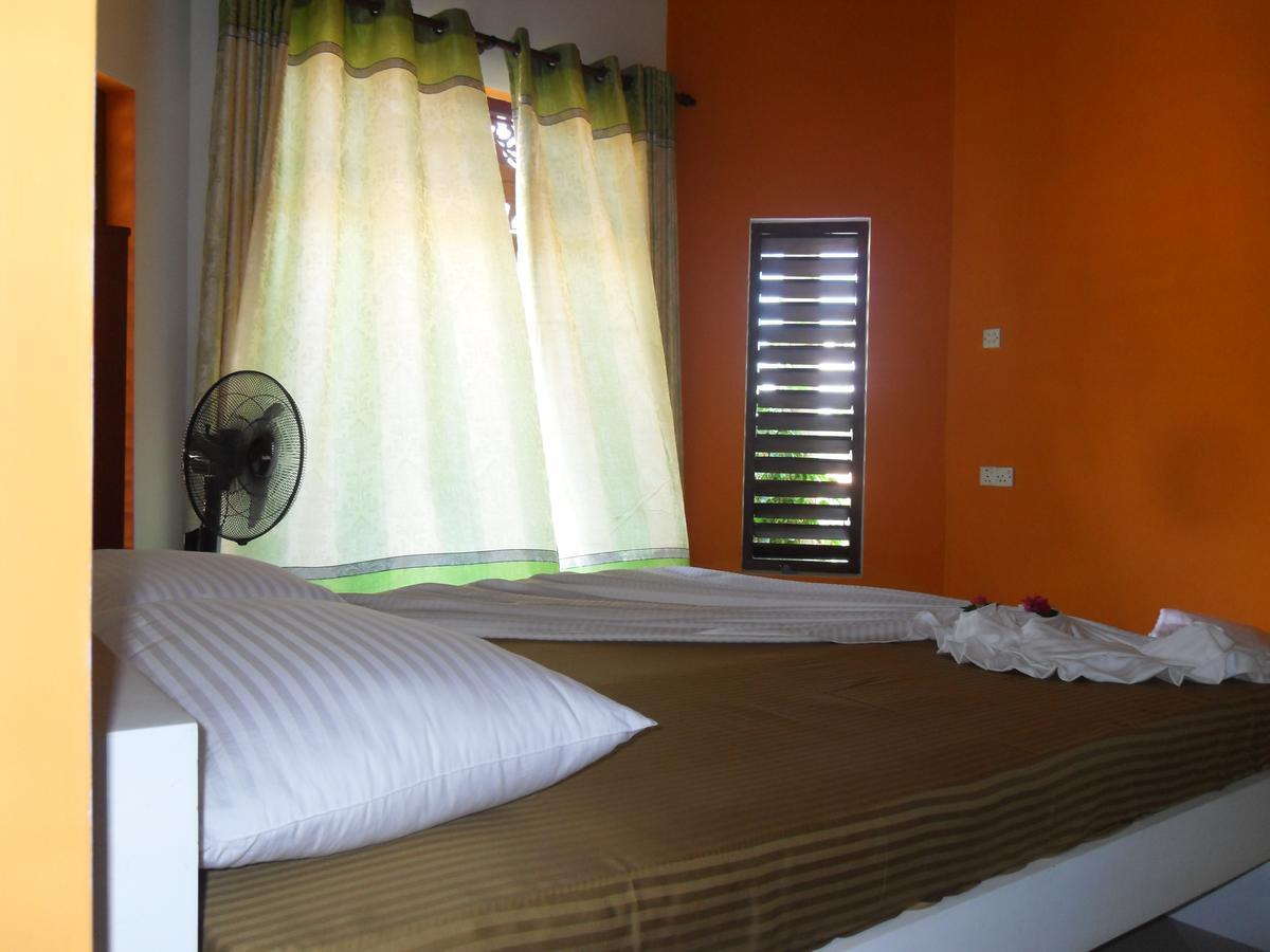 Bee Nest Bed & Breakfast Νεγκόμπο Εξωτερικό φωτογραφία