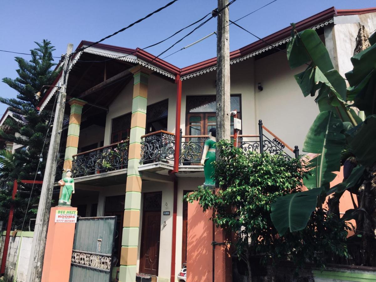 Bee Nest Bed & Breakfast Νεγκόμπο Εξωτερικό φωτογραφία